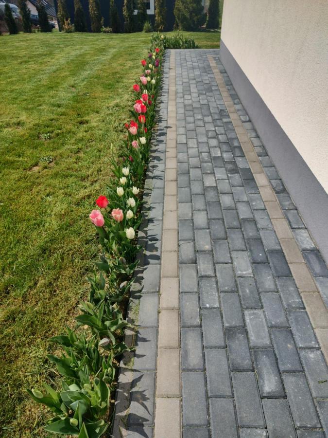 Domek Letniskowy Elizjum Myczków Buitenkant foto